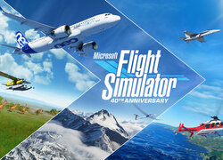 Gra, Microsoft Flight Simulator, Samoloty, Helikopter, Żyrafy, Góry, Morze, Niebo, Chmury, Słońce, Plakat