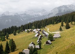 Domy, Zbocze, Drzewa, Góry, Alpy, Planina Zajamniki, Gmina Bohinj, Słowenia