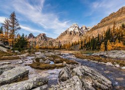 Kanada, Kolumbia Brytyjska, Park Narodowy Yoho, Płaskowyż Opabin Plateau, Góra Mount Huber, Strumień, Góry, Drzewa, Rzeka, Kamienie