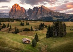 Dolomity, Góry, Sassolungo, Drewniane, Domki, Drzewa, Chmury, Płaskowyż, Seiser Alm, Dolina, Val Gardena, Włochy
