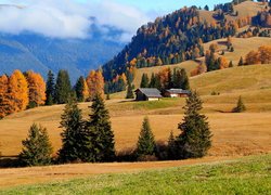 Płaskowyż Seiser Alm, Wzgórza, Pola, Drzewa, Domy, Jesień, Region Trydent-Górna Adyga, Włochy