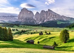 Góry Sassolungo, Dolomity, Płaskowyż Seiser Alm, Dolina Val Gardena, Włochy, Drzewa, Domy, Łąki, Chmury