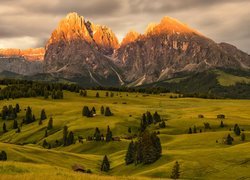 Płaskowyż Seiser Alm w Dolomitach