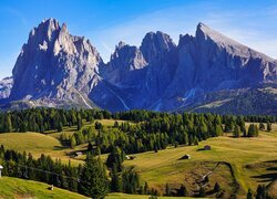 Płaskowyż Seiser Alm we włoskich Dolomitach w Tyrolu Południowym