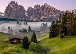 Mgła, Góry Sassolungo, Dolomity, Drewniane, Domy, Świerki, Płaskowyż Seiser Alm, Dolina Val Gardena, Łąki, Włochy