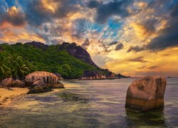 Seszele, Wyspa, La Digue, Morze, Plaża, Anse Source dArgent Beach, Zachód słońca, Palmy, Skały, Góry