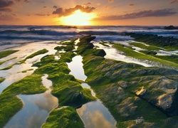 Hiszpania, Plaża Barrika, Zatoka Biskajska, Morze, Skały, Wschód Słońca, Mech