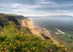 Morze, Wybrzeże, Skały, Kwiaty, Plaża, Benone Beach, Hrabstwo Londonderry, Irlandia Północna