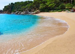 Plaża Cala Treumal w hiszpańskim kurorcie Lloret de Mar