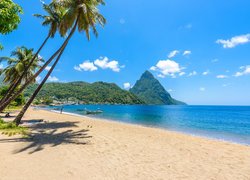 Plaża, Palmy, Morze Karaibskie, Góry, Wyspa, Saint Lucia, Karaiby