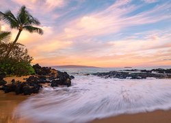 Plaża i palmy na hawajskiej wyspie Maui