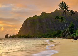 Stany Zjednoczone, Hawaje, Oahu, Morze, Plaża, Palmy, Góry