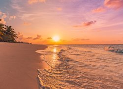 Malediwy, Morze, Plaża, Zachód słońca, Palmy