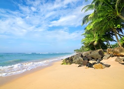 Plaża na Sri Lance