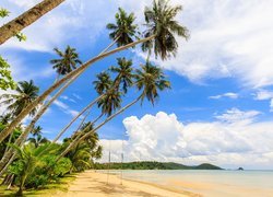 Morze, Palmy, Plaża, Wyspa Ko Mak, Prowincja Trat, Tajlandia, Chmury