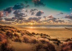 Plaża na wybrzeżu Belgii we wsi Lombardsijde