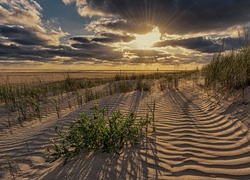 Niemcy, Sankt Peter-Ording, Piaszczyste, Wybrzeże, Morze Północne,  Promienie słońca, Plaża