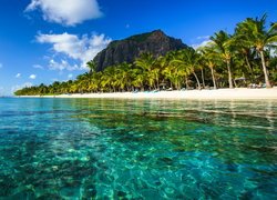 Plaża pod palmami na Mauritiusie