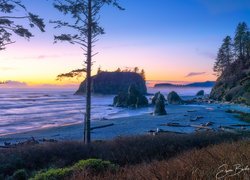 Plaża Ruby Beach w Parku Narodowym Olympic o zachodzie słońca