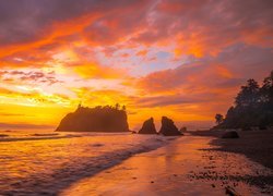 Plaża Ruby Beach