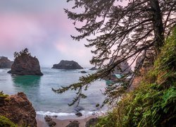 Plaża Secret Beach w stanie Oregon