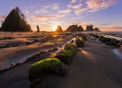 Plaża Shi Shi Beach, Hrabstwo Clallam, Park Narodowy Olympic, Stan Waszyngton, Stany Zjednoczone, Kamienie, Skały, Promienie słońca