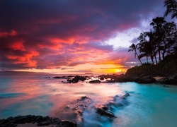 Plaża w kurorcie Wailea na wyspie Maui