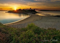 Plaża, Morze, Skały, Drzewa, Zachód słońca, Saint Briac sur Mer, Bretania, Francja