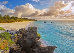 Bermudy, Plaża Warwick Long Bay, Morze, Skały