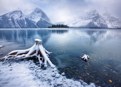 Pniak w śniegu przy brzegu jeziora z ośnieżonymi górami w tle