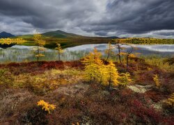 Rosja, Kołyma, Góry, Jezioro, Jack London, Drzewa, Jesień, Chmury