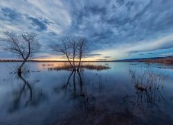 Poranek, Jezioro, Lake Chatfield, Chmury, Drzewa, Park stanowy Chatfield, Kolorado, Stany Zjednoczone