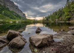 Jezioro, Góry, Tatry Wysokie, Drzewa, Lasy, Kamienie, Słowacja