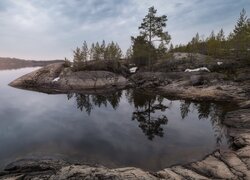 Jezioro Ładoga, Drzewa, Skały, Karelia, Rosja