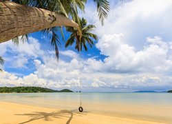 Pochylona palma nad plażą na wyspie Ko Mak w Tajlandii