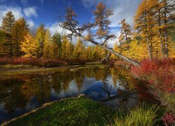Jesień, Rzeka, Drzewa, Chmury, Odbicie