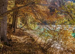 Jesień, Jezioro, Lago di Tovel, Drzewa, Brzeg, Trydent, Włochy
