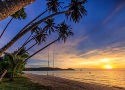 Morze, Palmy, Plaża, Wyspa Ko Mak, Prowincja Trat, Tajlandia, Chmury, Wschód słońca