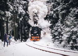 Pociąg jadący przez las w zimie