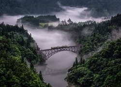 Japonia, Prefektura Fukushima, Prefektura Niigata, Most Tadami River Bridge, Rzeka Tadami, Pociąg, Lasy, Drzewa, Mgła