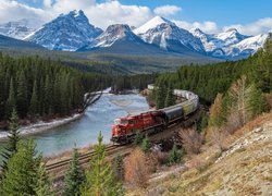 Pociąg obok rzeki Bow River w Parku Narodowym Banff