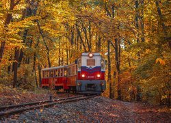 Pociąg osobowy w jesiennym lesie