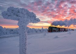 Pociąg parowy jadący obok zasypanych śniegiem drzew