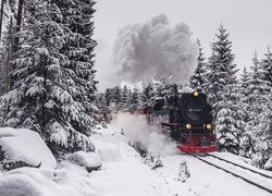 Pociąg parowy jedzie przez zimowy las