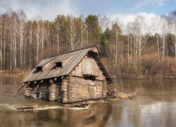 Rzeka, Podtopiony, Dom, Las, Brzozy