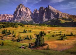 Dolomity, Góry, Sassolungo, Drewniane, Domy, Drzewa, Chmury, Płaskowyż, Seiser Alm, Dolina, Val Gardena, Włochy