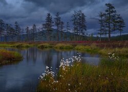 Pokryte ciemnymi chmurami niebo nad Kołymą