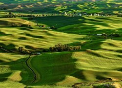 Stany Zjednoczone, Stan Waszyngton, Palouse, Wzgórza, Pola, Łąki, Domy, Drzewa