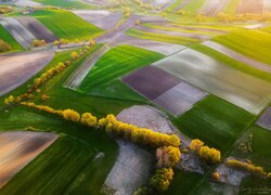 Polska, Ponidzie, Niecka Nidziańska, Pola, Wiosna, Drzewa, Z lotu ptaka