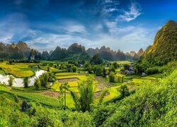 Pola ryżowe i góry w prowincji Cao Bang w Wietnamie